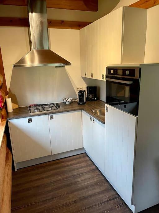 Unieke Houten Villa Met Sauna In Twente - 6P Den Ham エクステリア 写真